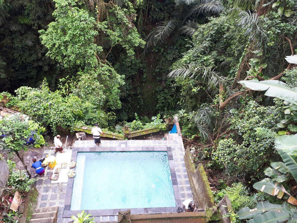 Anggrek Mas Bed & Breakfast Hostel Ubud  Ngoại thất bức ảnh